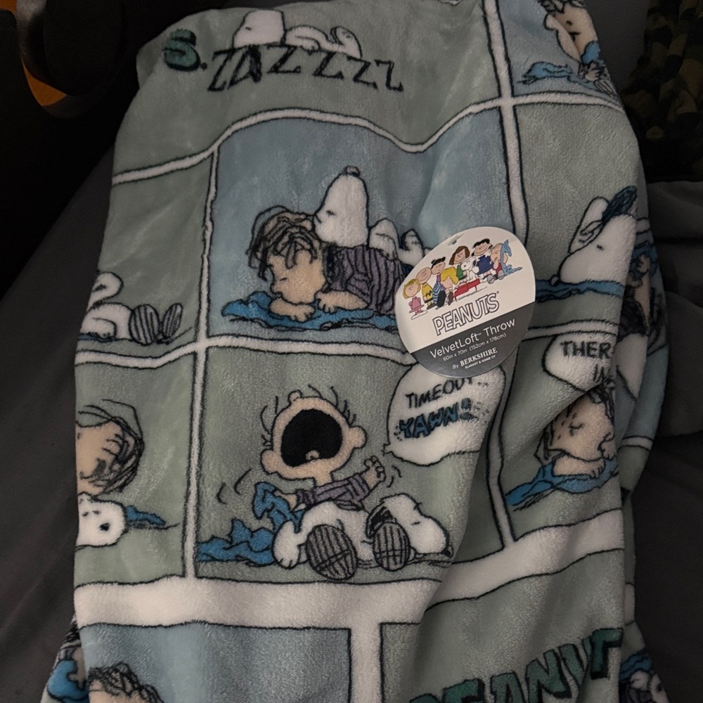 Peanuts Blanket